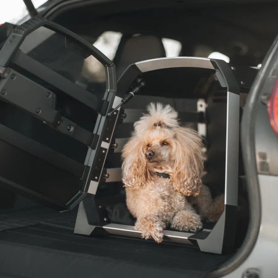 Clearance Thule Allax M
