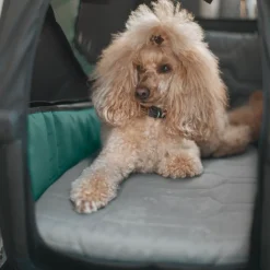 Outlet Thule Bexey dog bed M