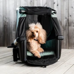 Outlet Thule Bexey M
