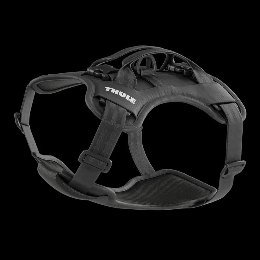 Fashion Thule Cappy