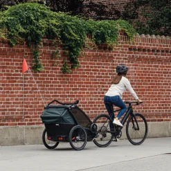 Online Thule Chariot Cab infant bundle