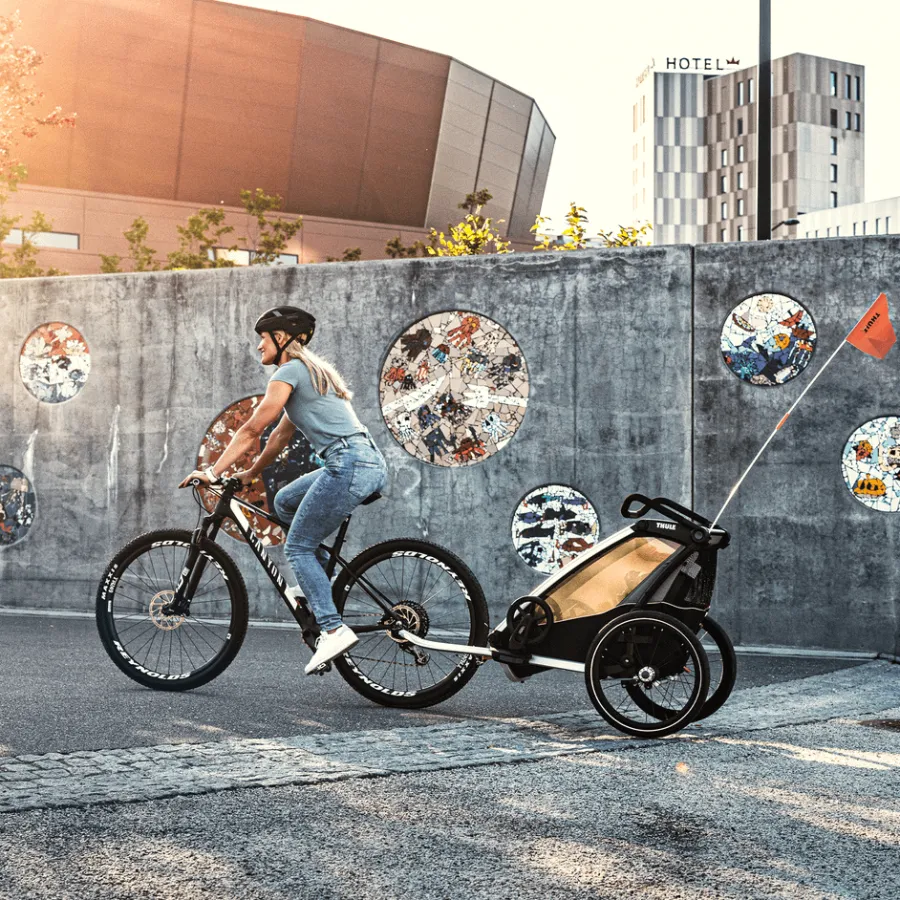 Online Thule Chariot Lite double infant bundle