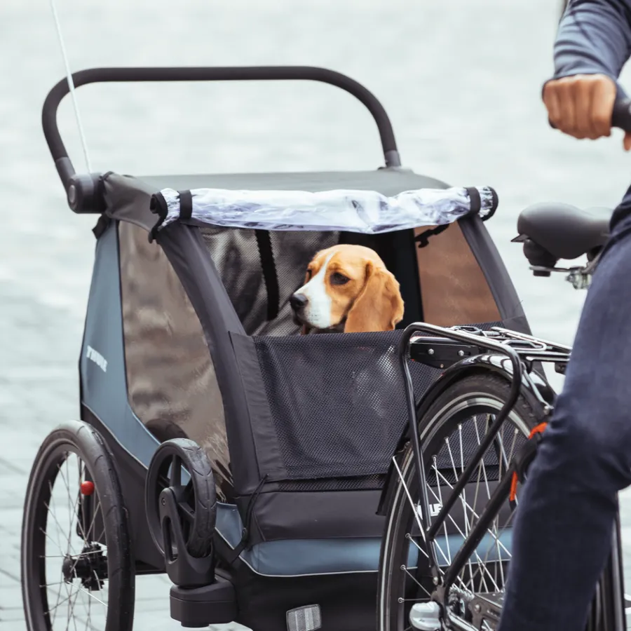 Best Thule Courier dog trailer bundle