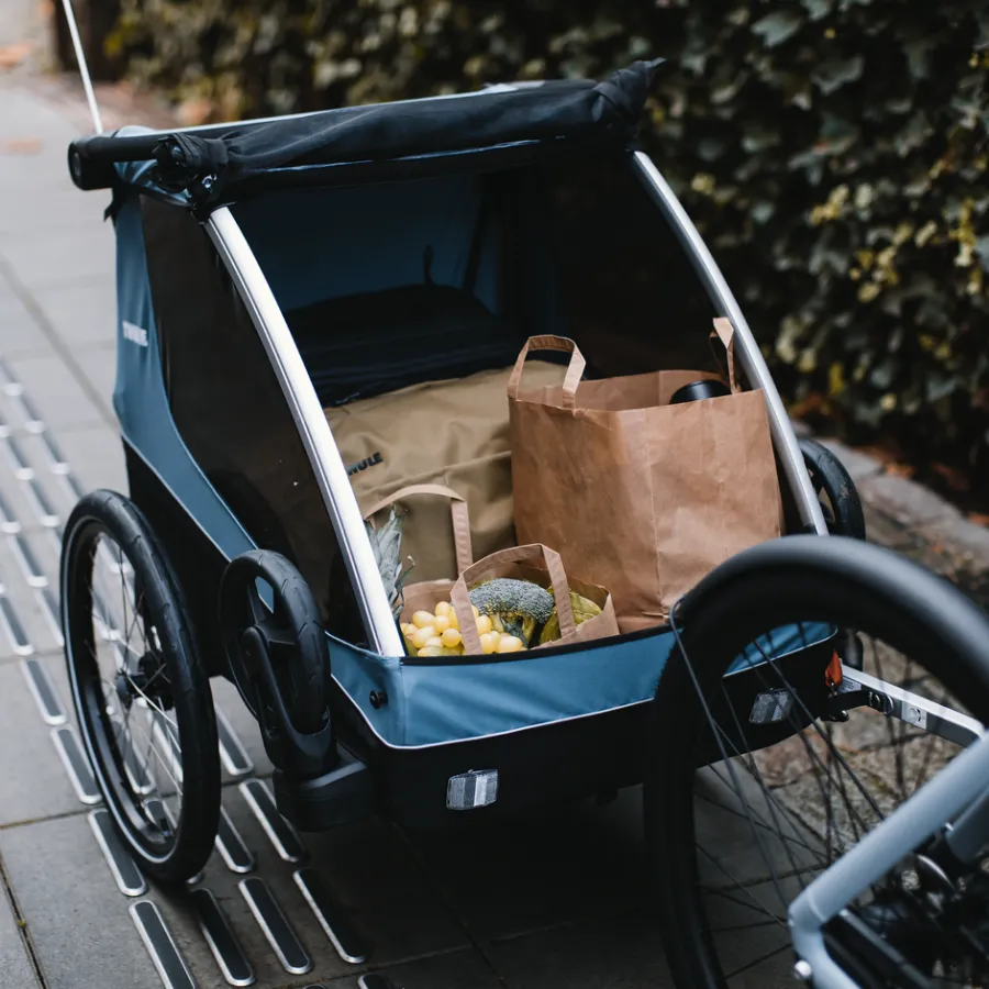 Best Thule Courier dog trailer bundle