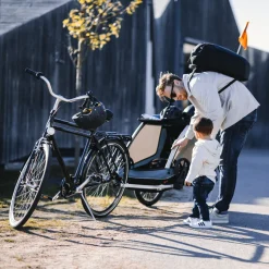 Best Thule Courier dog trailer bundle