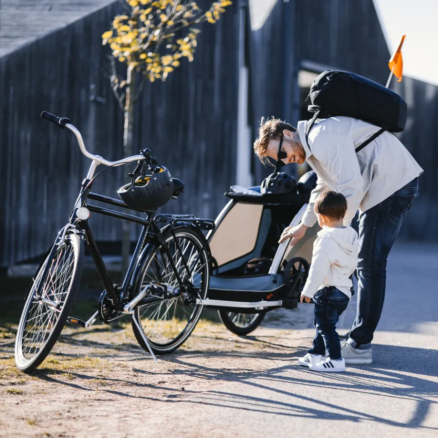 Best Thule Courier dog trailer bundle