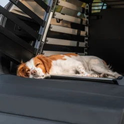 New Thule dog mat standard