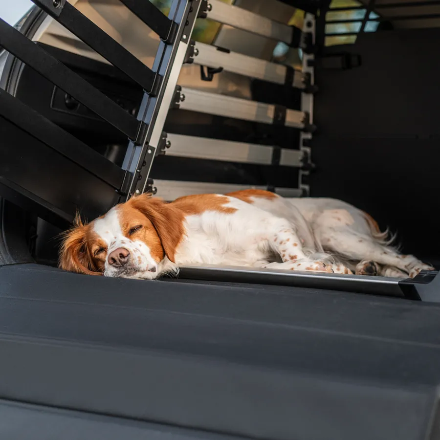 New Thule dog mat standard