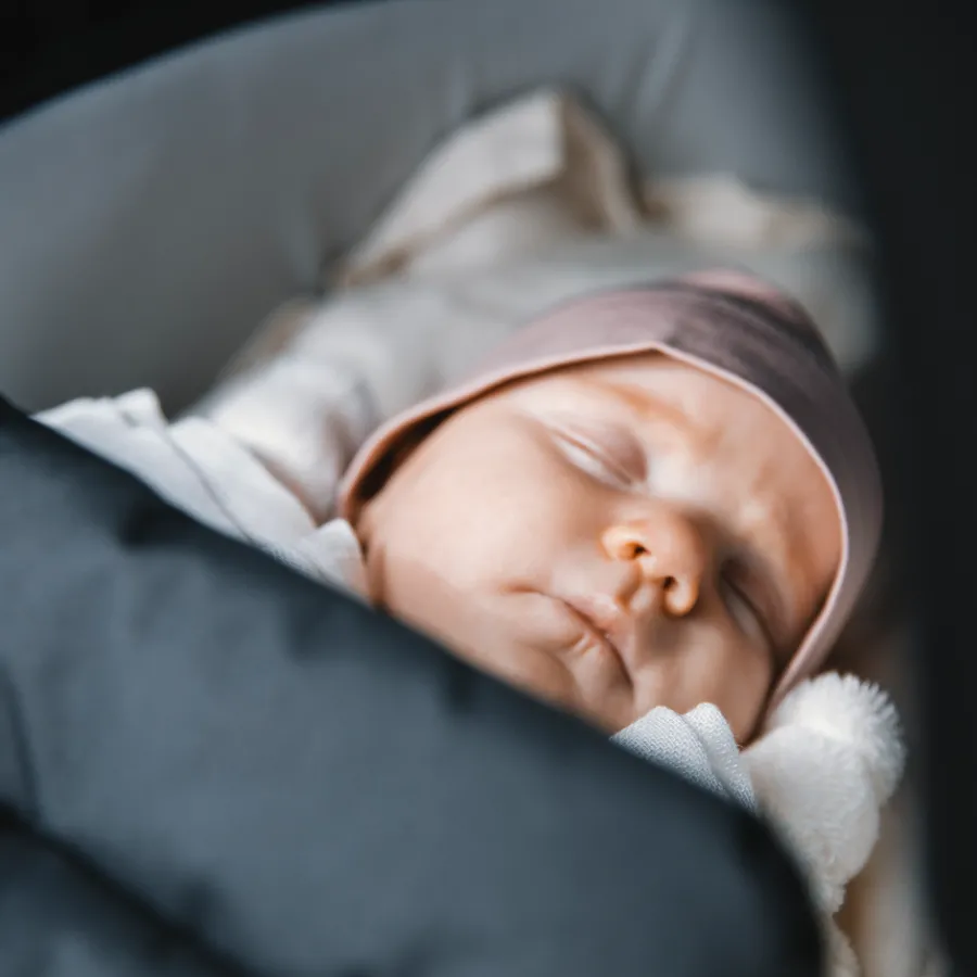 New Thule Shine bassinet