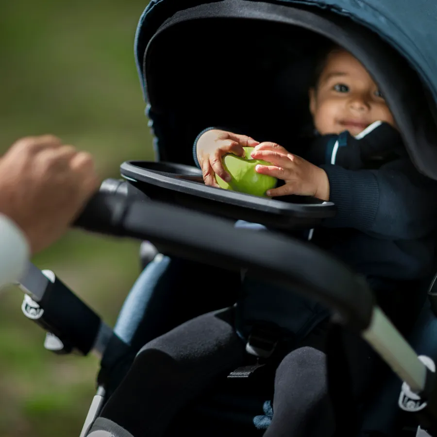 Discount Thule Sleek
