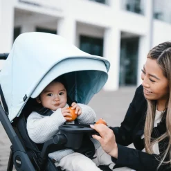 New Thule stroller snack tray